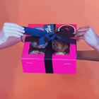 Two hands untying a pink Rebel Daughter Cookies delivery box