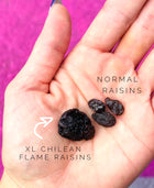 A hand holding XL Chilean flame raisins and normal raisins, highlighting their size difference against a vibrant pink background.